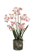 Künstliche Orchidee - Han, 58 cm, Kunstblume von aplanta, inkl. Dekotopf, in Rot, für drinnen