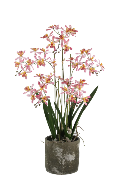 Künstliche Orchidee - Han, 58 cm, Kunstblume von aplanta, inkl. Dekotopf, in Rot, für drinnen