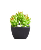 Künstliche Sukkulente – Nepomuk | 14 cm