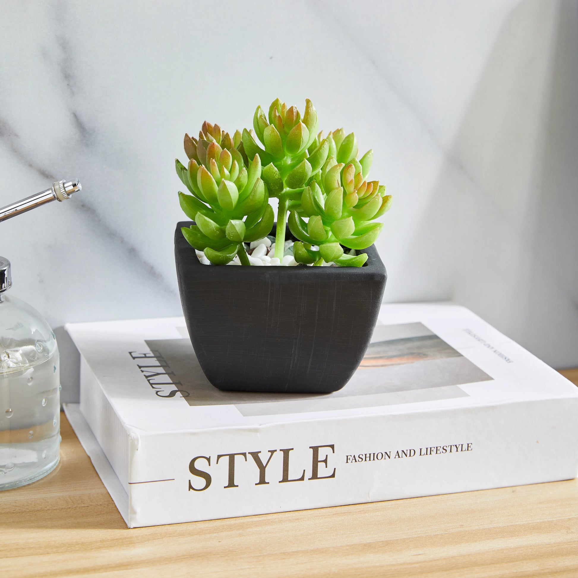 Künstliche Sukkulente – Nepomuk | 14 cm