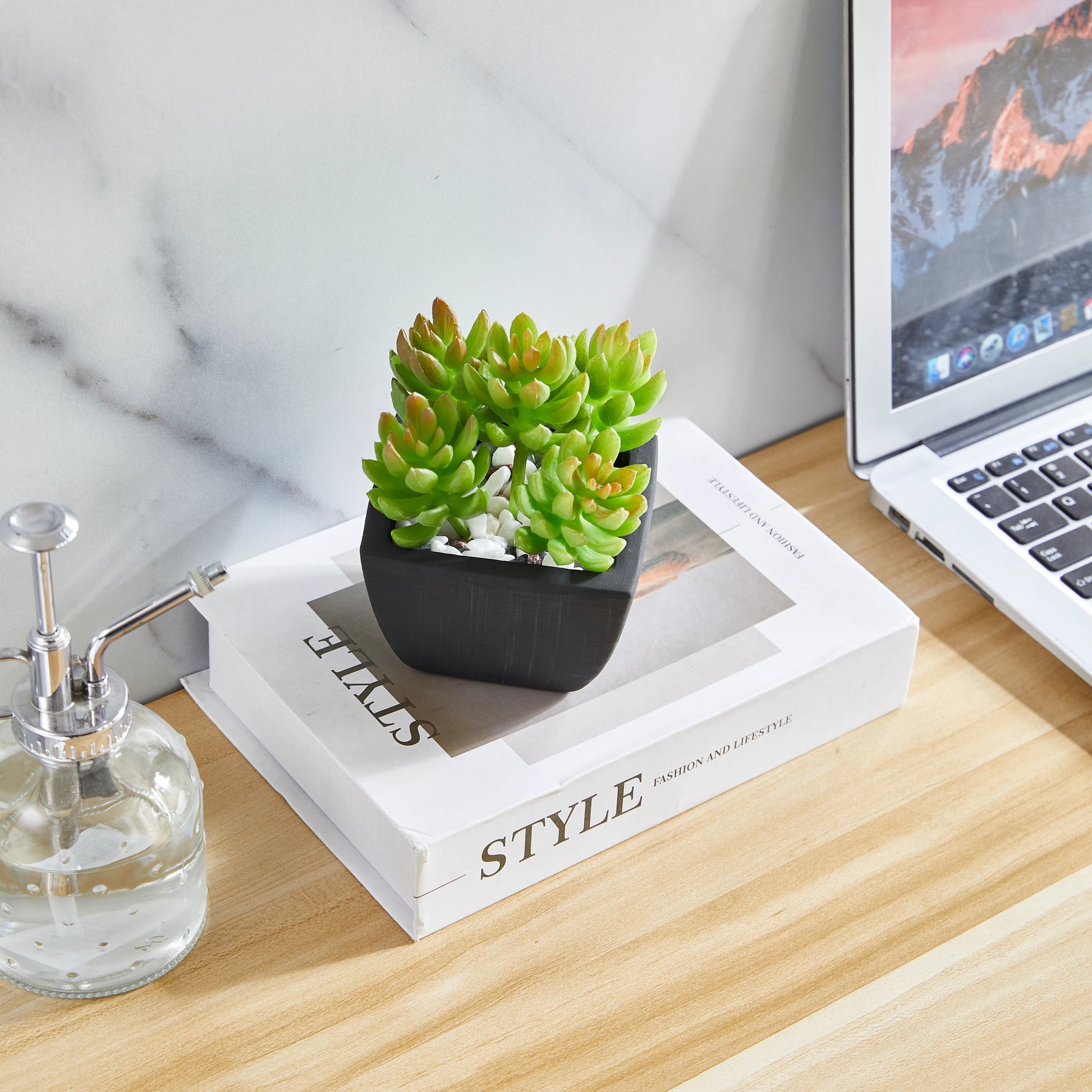 Künstliche Sukkulente – Nepomuk | 14 cm