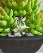 Künstliche Sukkulente – Nepomuk | 14 cm