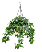 Künstliche Hänge-Efeutute – Theresia | 80 cm