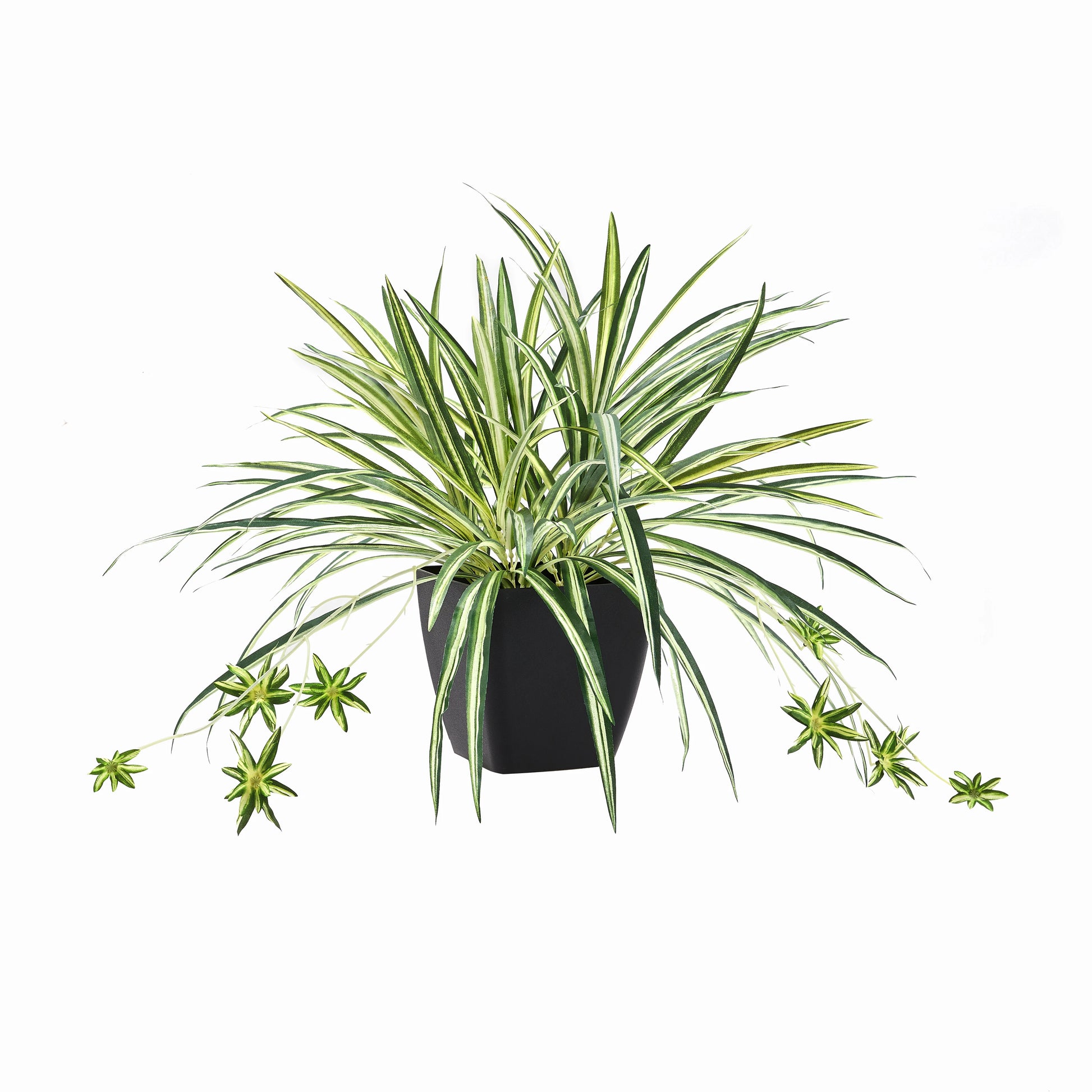 Künstliche Grünlilie - Liora, 50 cm, Kunstpflanze von aplanta, für drinnen