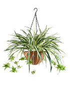 Künstliche Hänge-Grünlilie – Aurelio | 60 cm