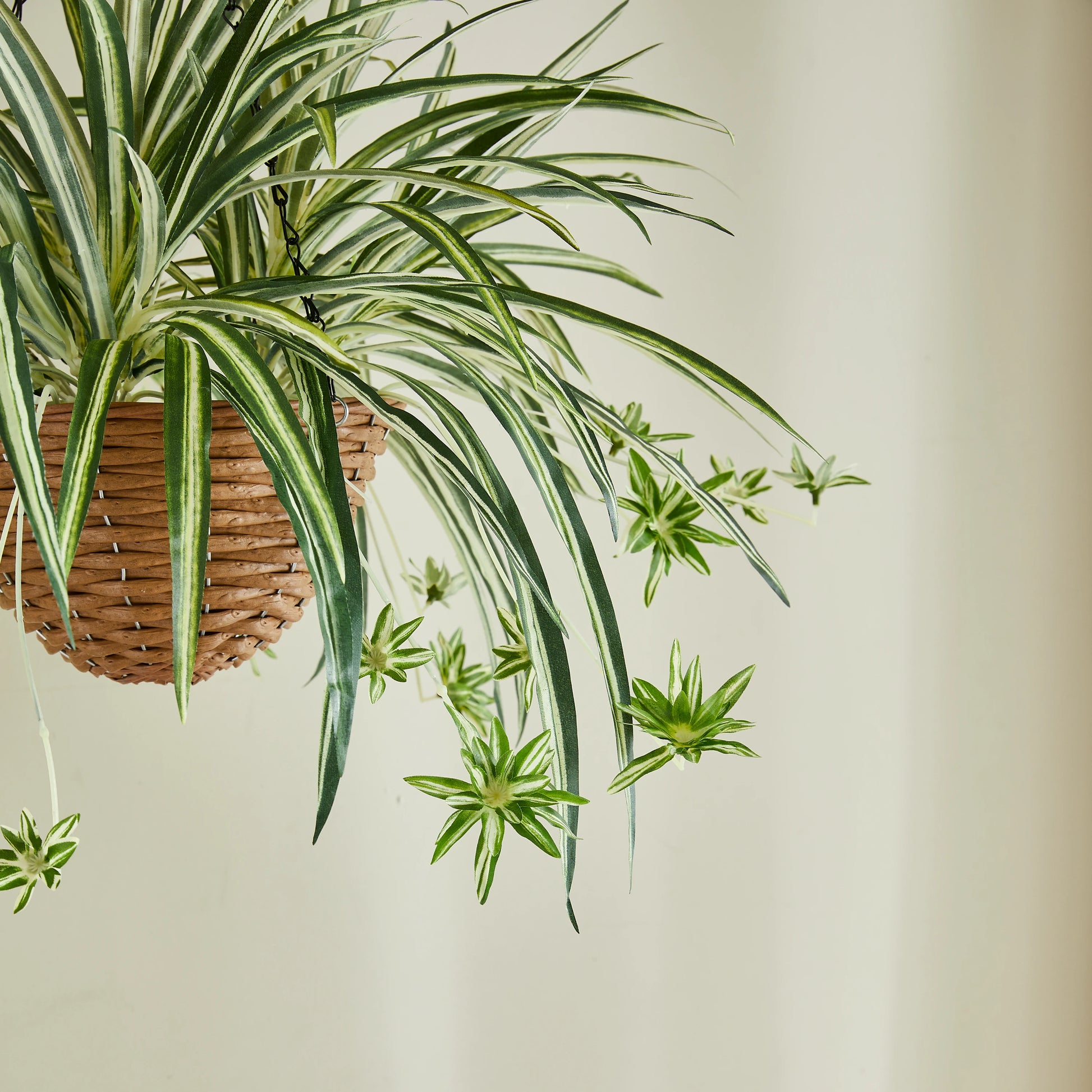 Künstliche Hänge-Grünlilie – Aurelio | 60 cm