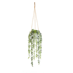 Albero Artificiale Albero di Eucalipto Artificiale, Foglie di Seta Finte Realistiche per Interni Ed Esterni per Ufficio Piante Artificiali Alberi Artificiali (Size : 4ft Albero Artificiale Albero di Eucalipto Artificiale, Foglie di Seta Finte Realistiche per Interni Ed Esterni per Ufficio Piante Artificiali Alberi Artificiali (Size : 4ft