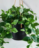 Künstlicher Hänge-Pothos – Melusine | 80 cm