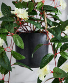 Künstlicher Hänge-Jasmin – Florina | 80 cm