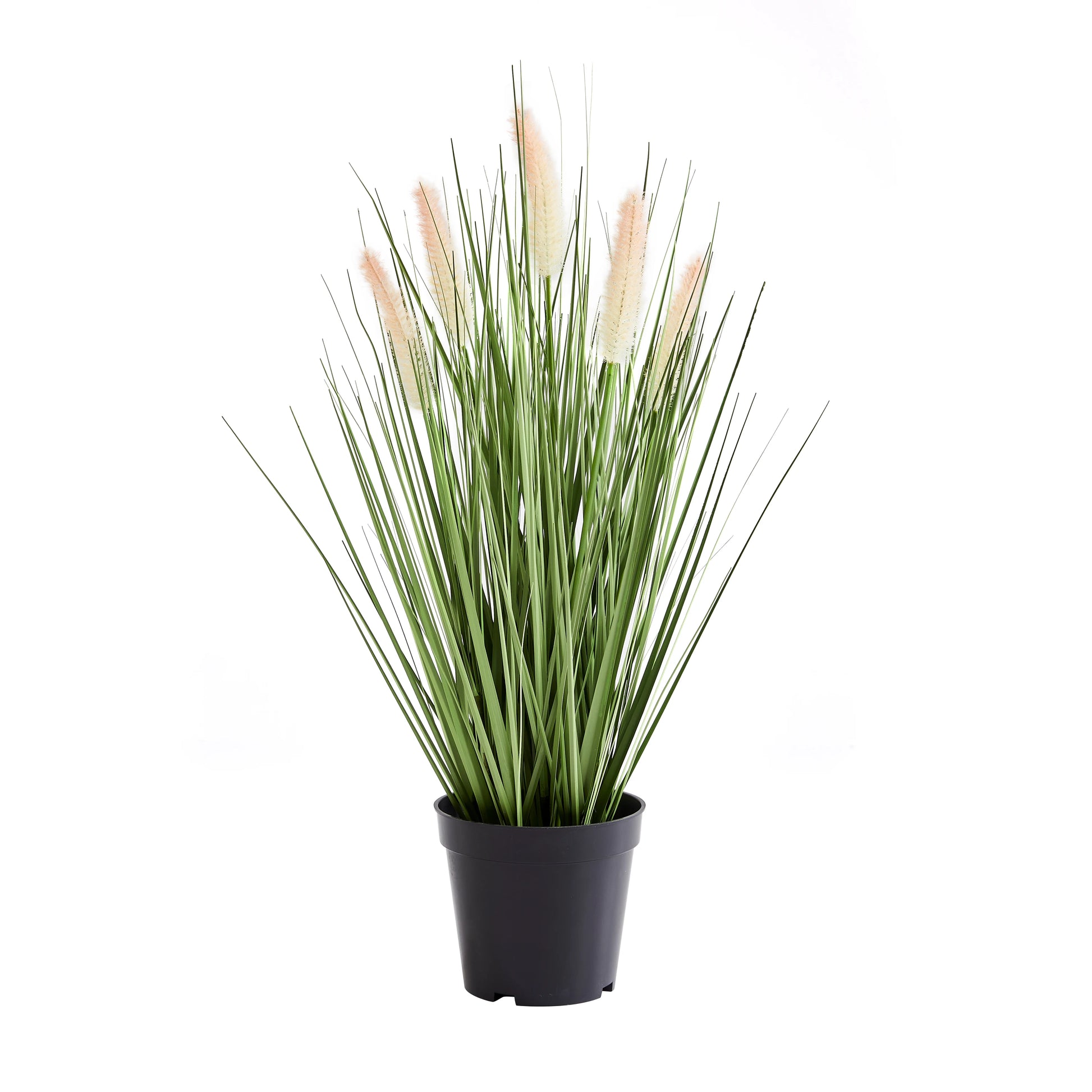Künstliches Lampenputzergras - Lysandros, 56 cm, Kunstpflanze von aplanta, mit Fruchtstamm, in Grün, für drinnen