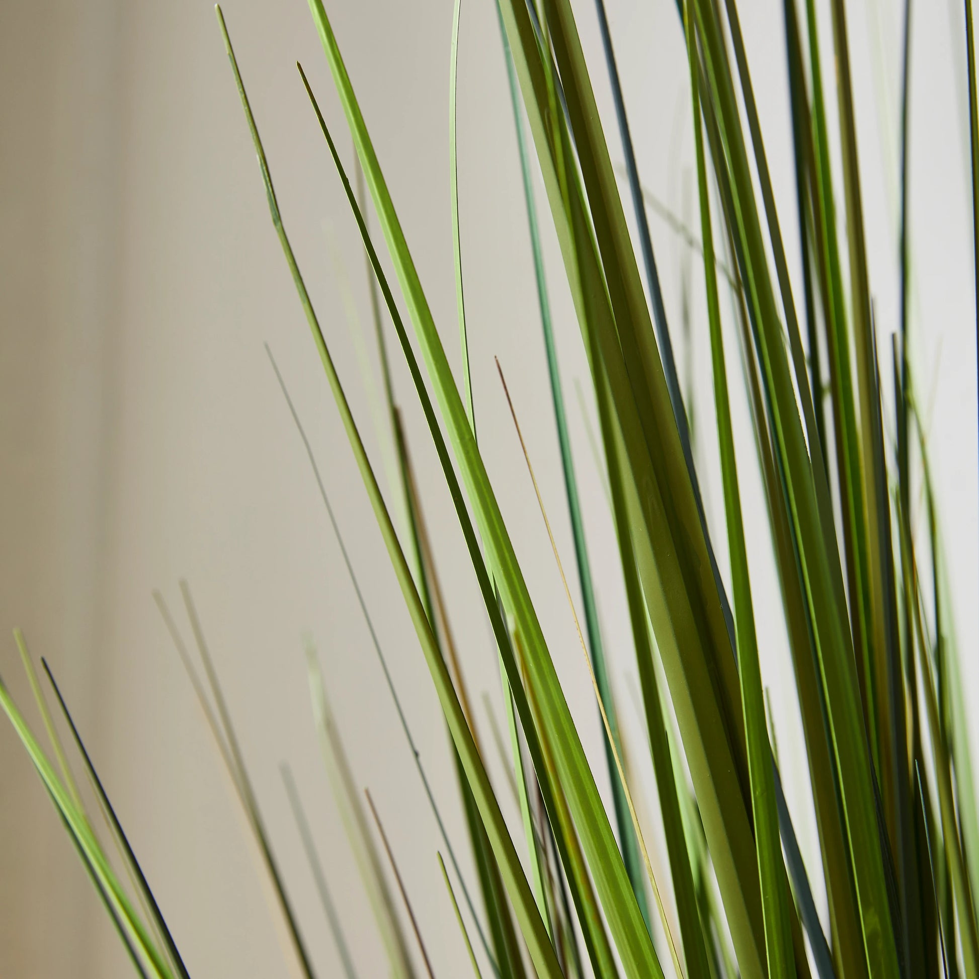 Künstliches Gras - Selwyn, 60 cm, Kunstpflanze von aplanta, in Grün, für drinnen