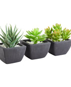 Künstliches Sukkulenten-Set – Aurea | 14 cm