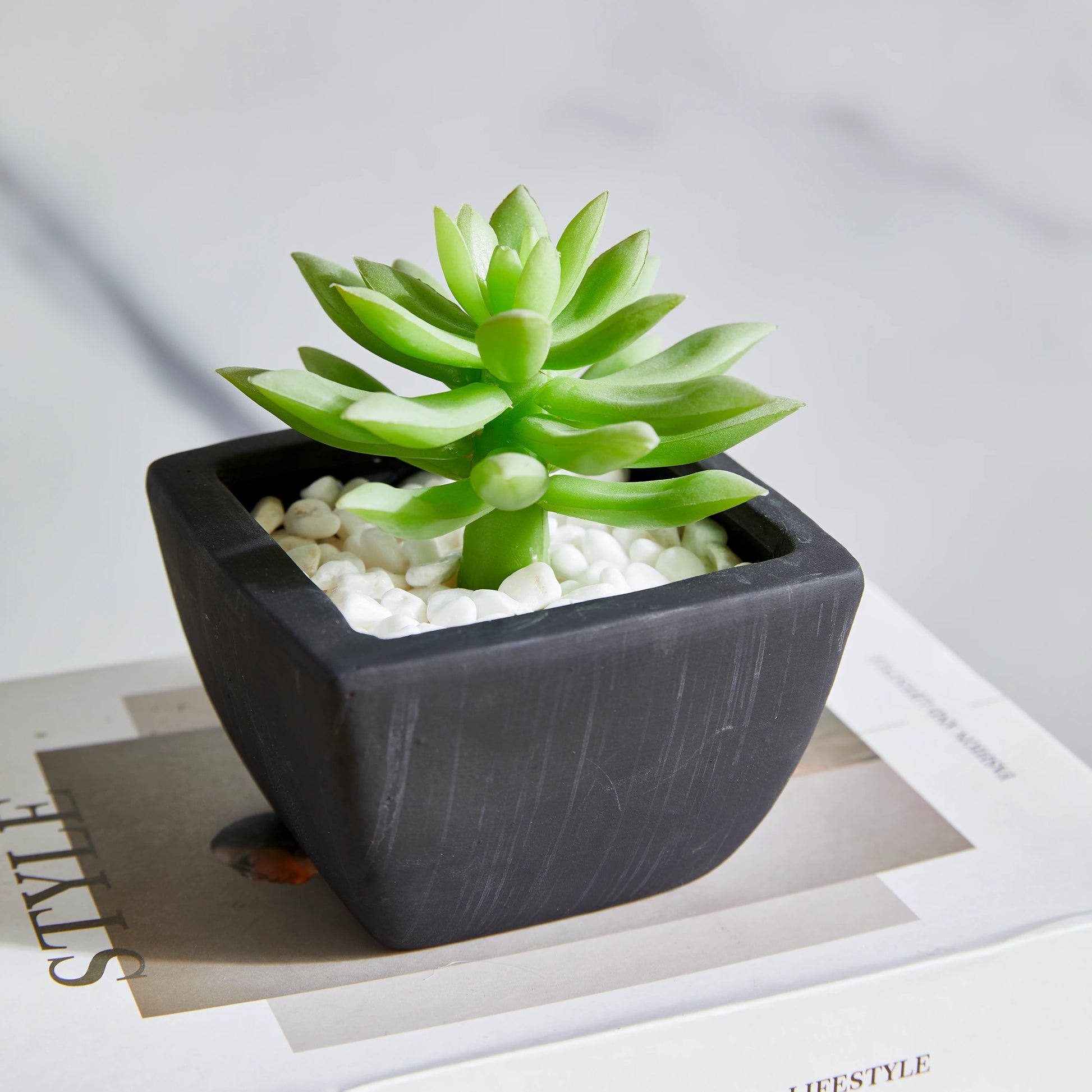 Künstliches Sukkulenten-Set – Aurea | 14 cm