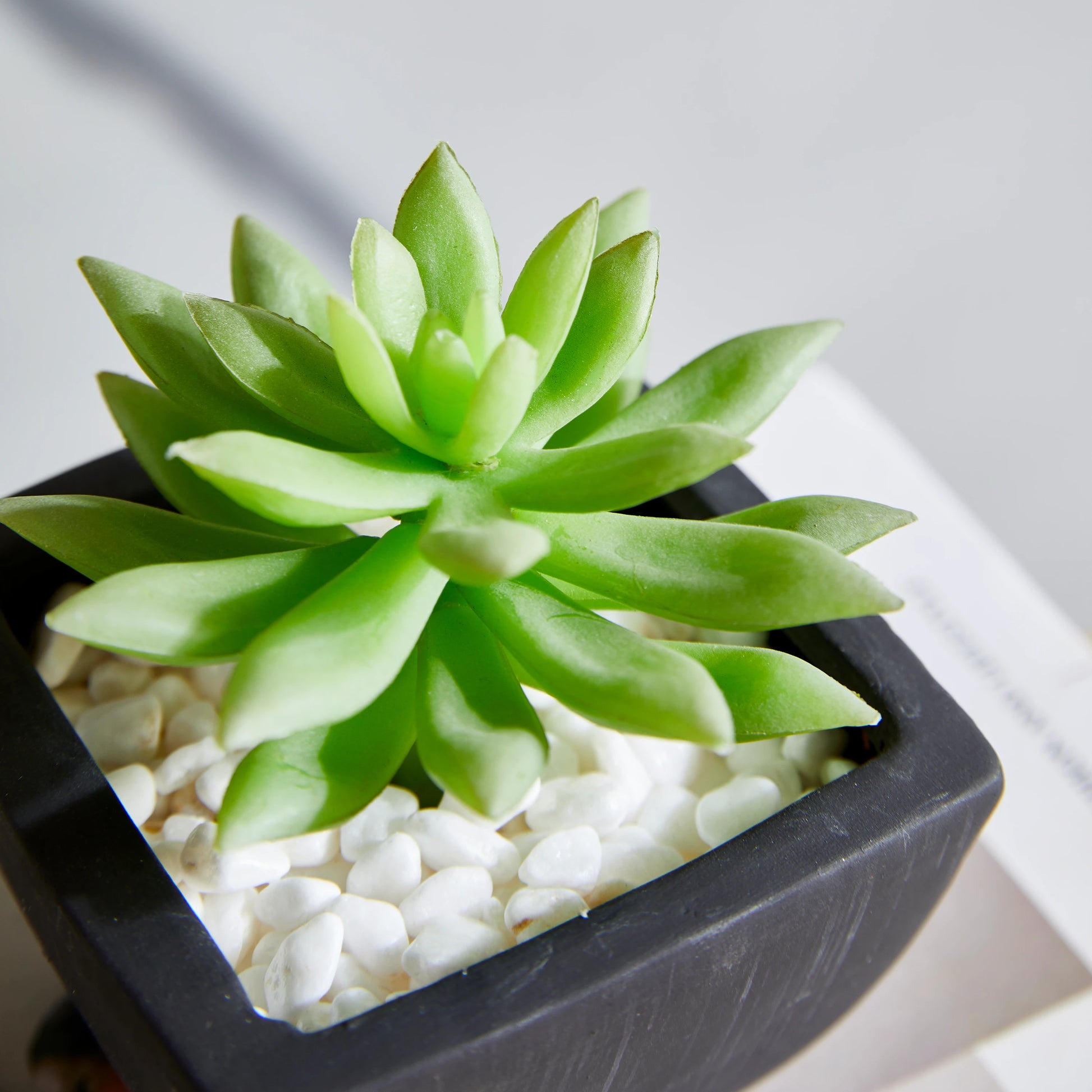 Künstliches Sukkulenten-Set – Aurea | 14 cm