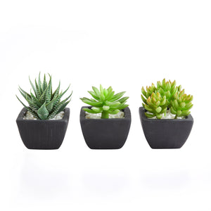 Künstliches Sukkulenten-Set – Aurea | 14 cm