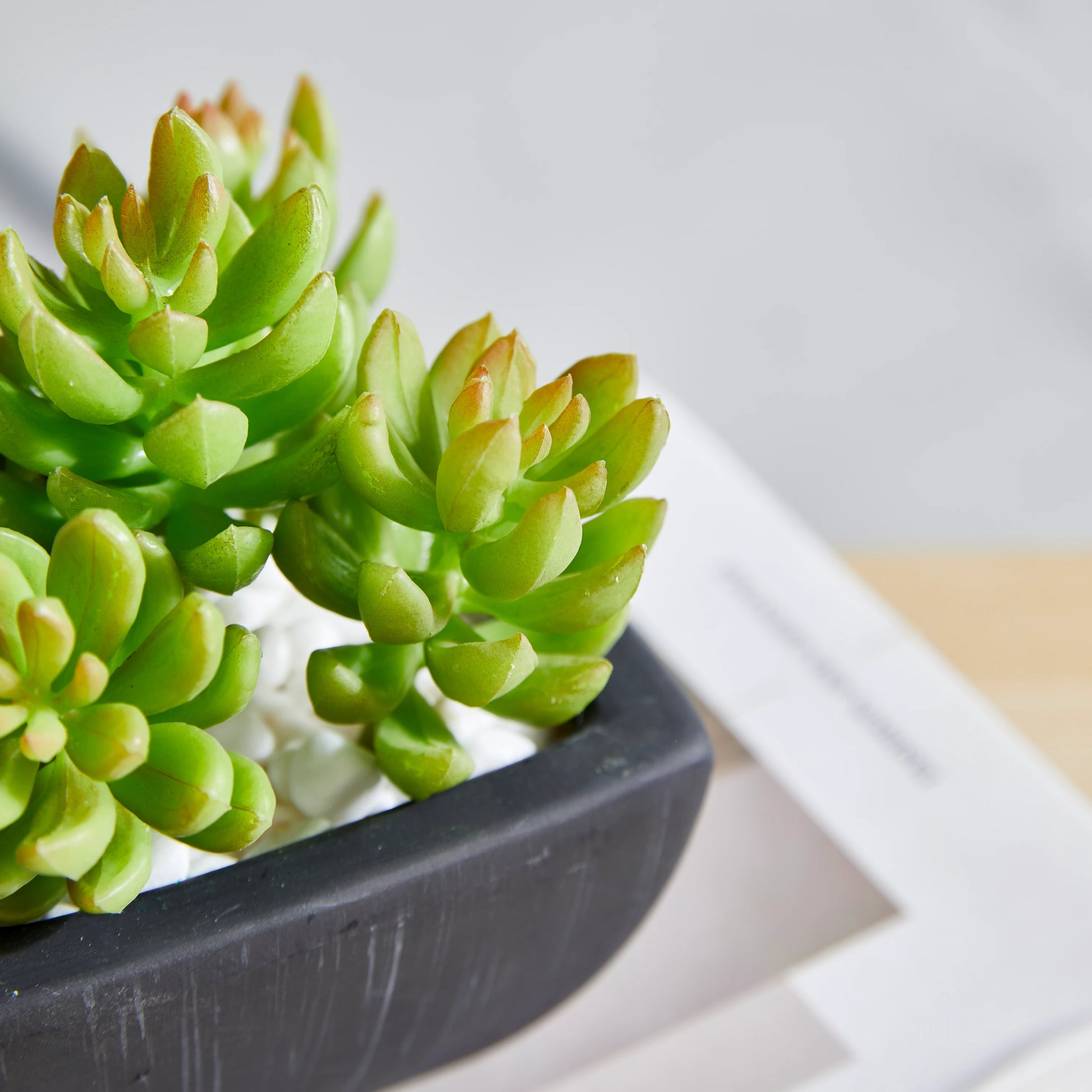 Künstliches Sukkulenten-Set – Aurea | 14 cm