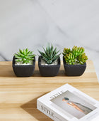 Künstliches Sukkulenten-Set – Aurea | 14 cm