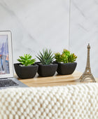 Künstliches Sukkulenten-Set – Aurea | 14 cm