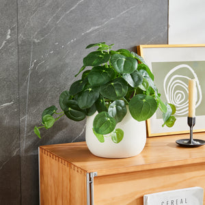 Künstlicher Geldbaum – Cassian | 39 cm