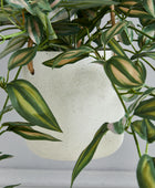 Künstliches Zebrakraut - Ariana  | 80 cm