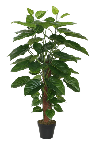 Künstlicher Pothos - Elowyn, 120 cm, Kunstpflanze von aplanta, in Grün, für drinnen