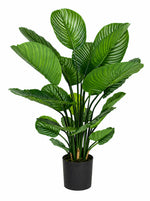 Künstliche Calathea - Norelia, 80 cm, Kunstpflanze von aplanta, in Grün, für drinnen