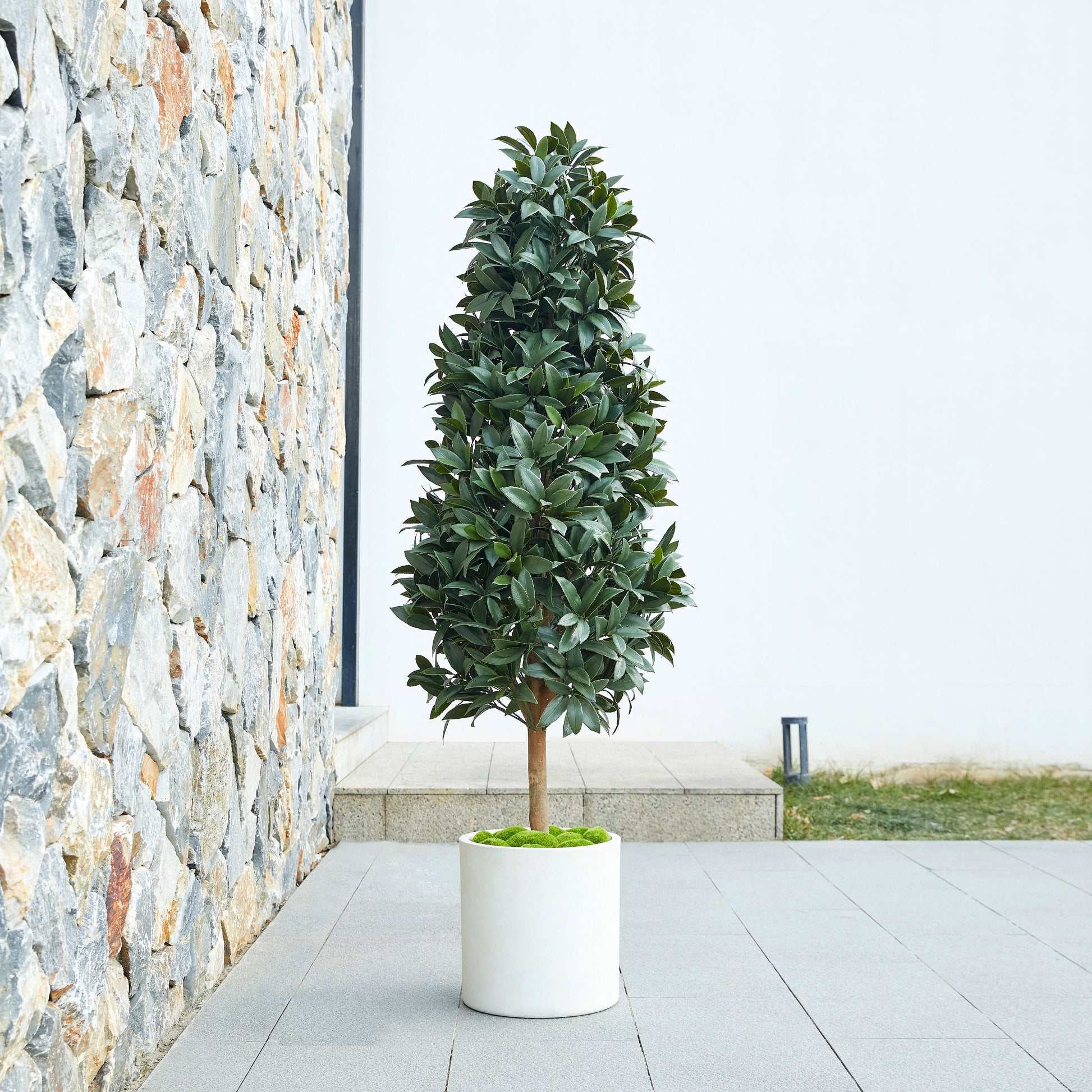 Künstlicher Lorbeerbaum – Alarion | 150 cm