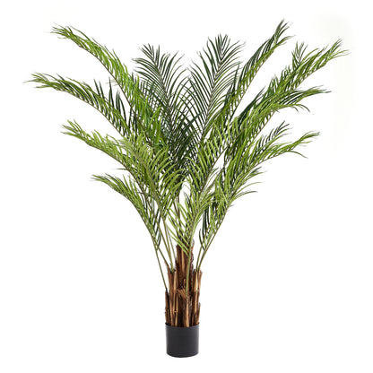 Künstliche Kentia-Palme – Caliora | 210 cm