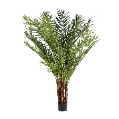 Künstliche Palme – Caliora | 240 cm