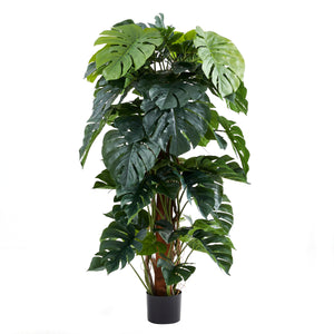 Künstlicher Split-Philodendron – Zephira | 160 cm