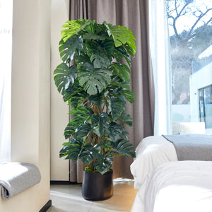 Künstlicher Split-Philodendron – Zephira | 190 cm