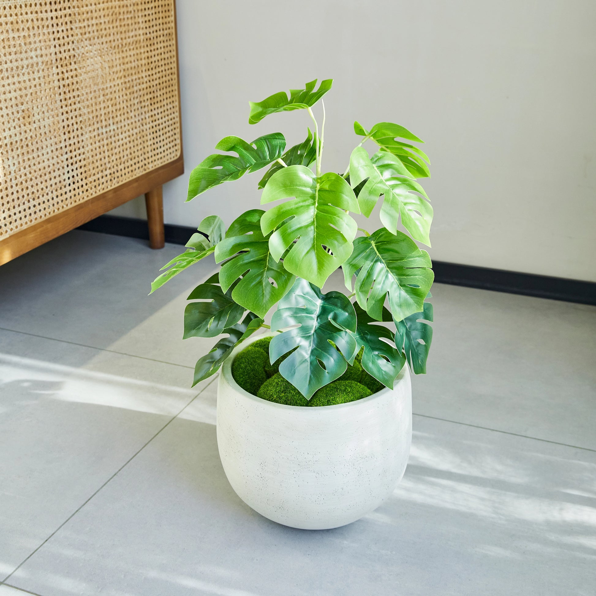 Künstlicher Monstera – Alenia | 50 cm