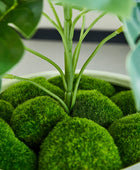 Künstlicher Monstera – Alenia | 50 cm