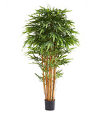 Künstlicher Bambus – Kaelen | 180 cm