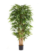 Künstlicher Bambus – Nayoko | 180 cm