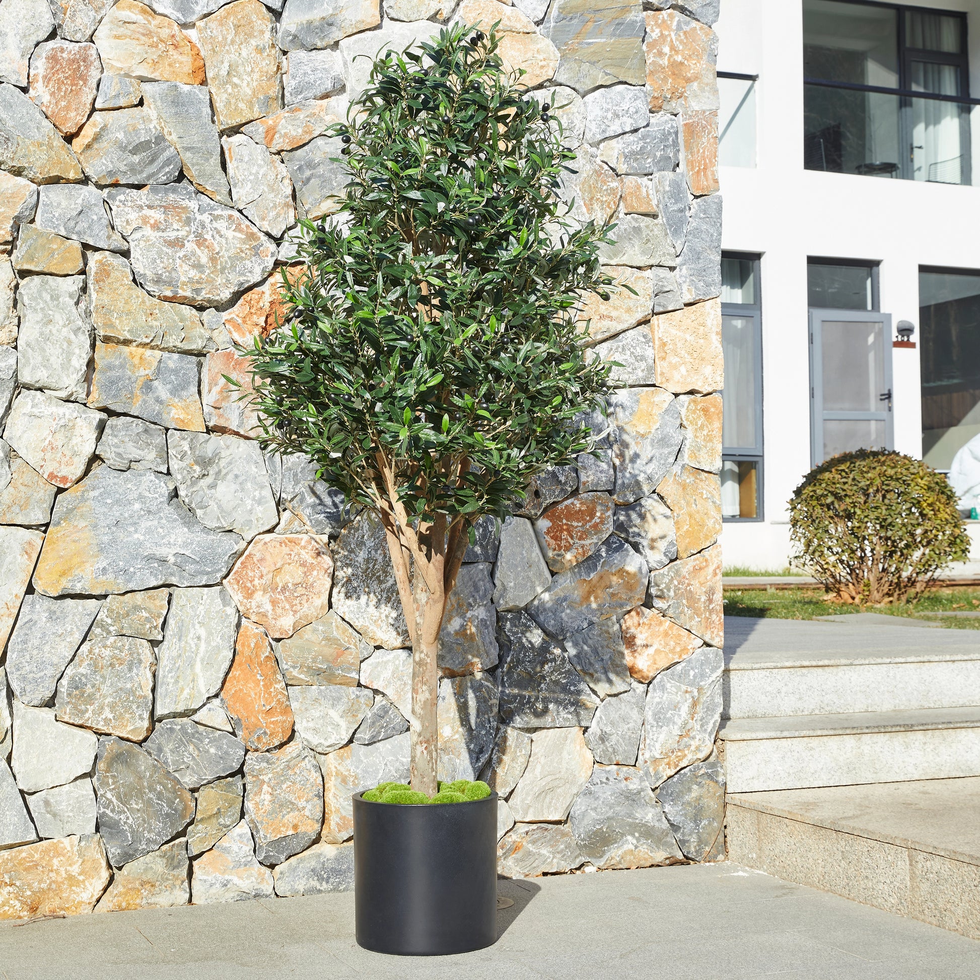 Künstlicher Olivenbaum – Callistus | 170 cm