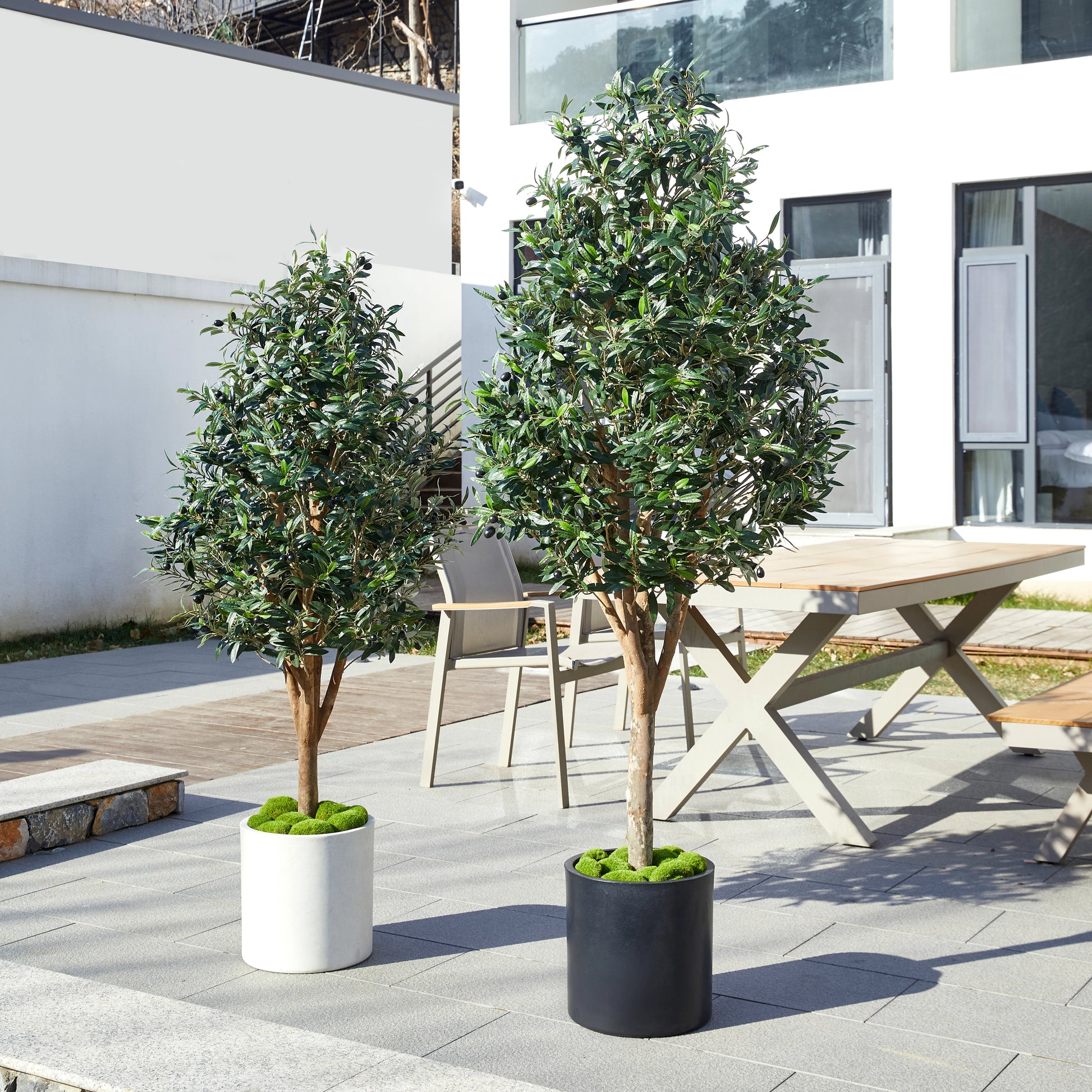 Künstlicher Olivenbaum – Callistus | 170 cm