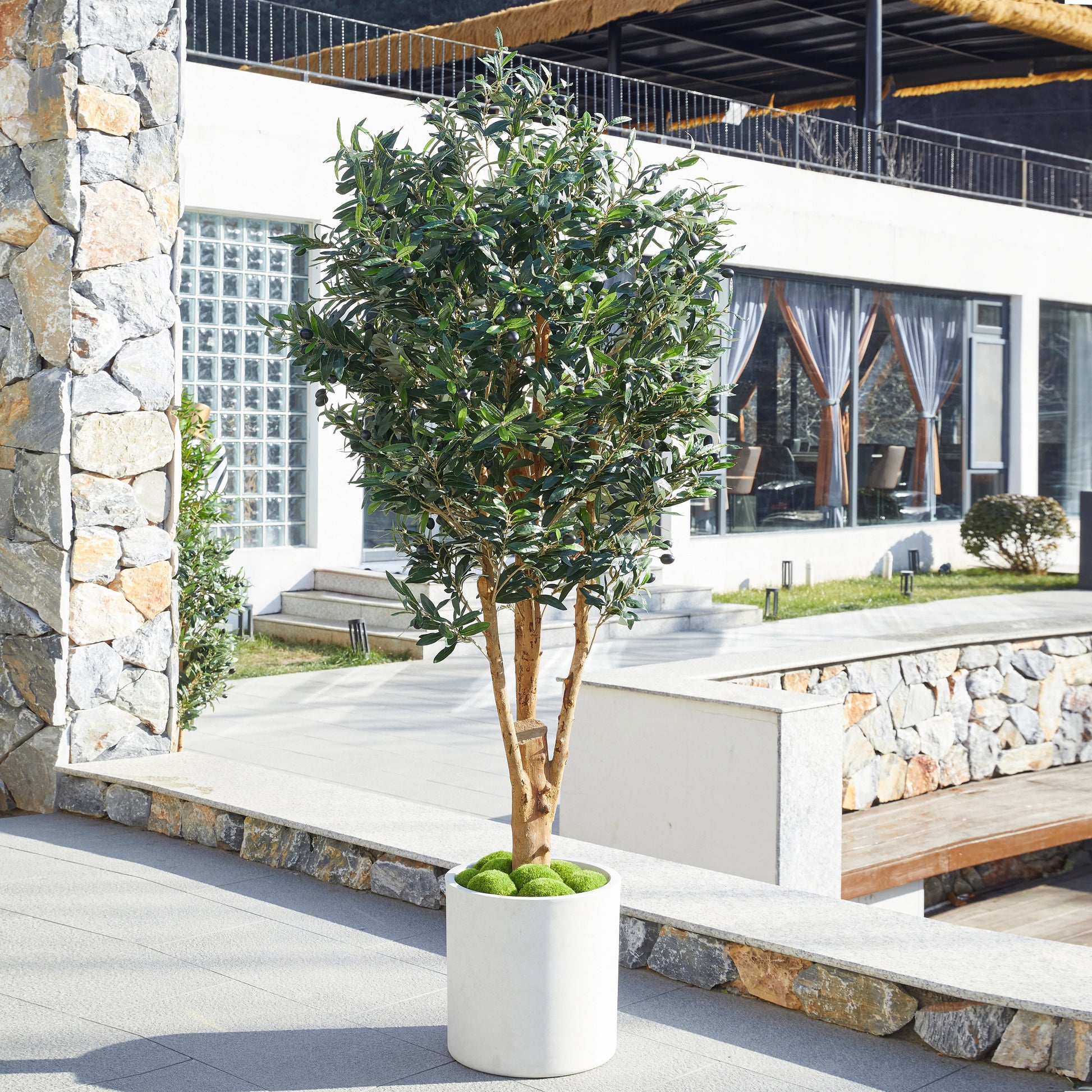 Künstlicher Olivenbaum – Lysandra | 150 cm