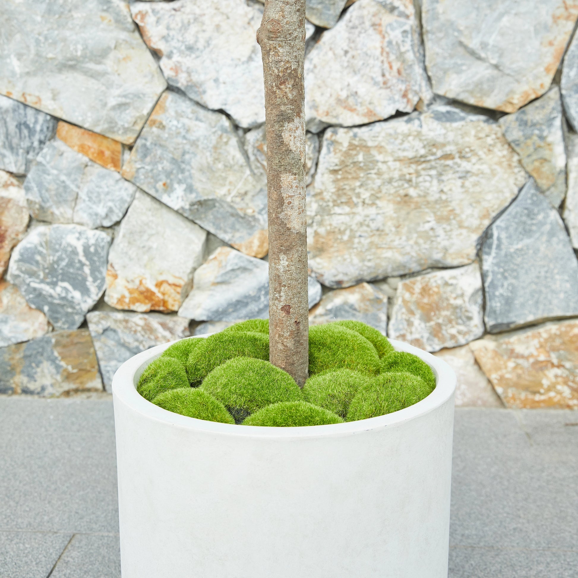 Künstlicher Olivenbaum – Thalior | 150 cm