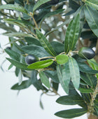 Künstlicher Olivenbaum – Nerio | 75 cm