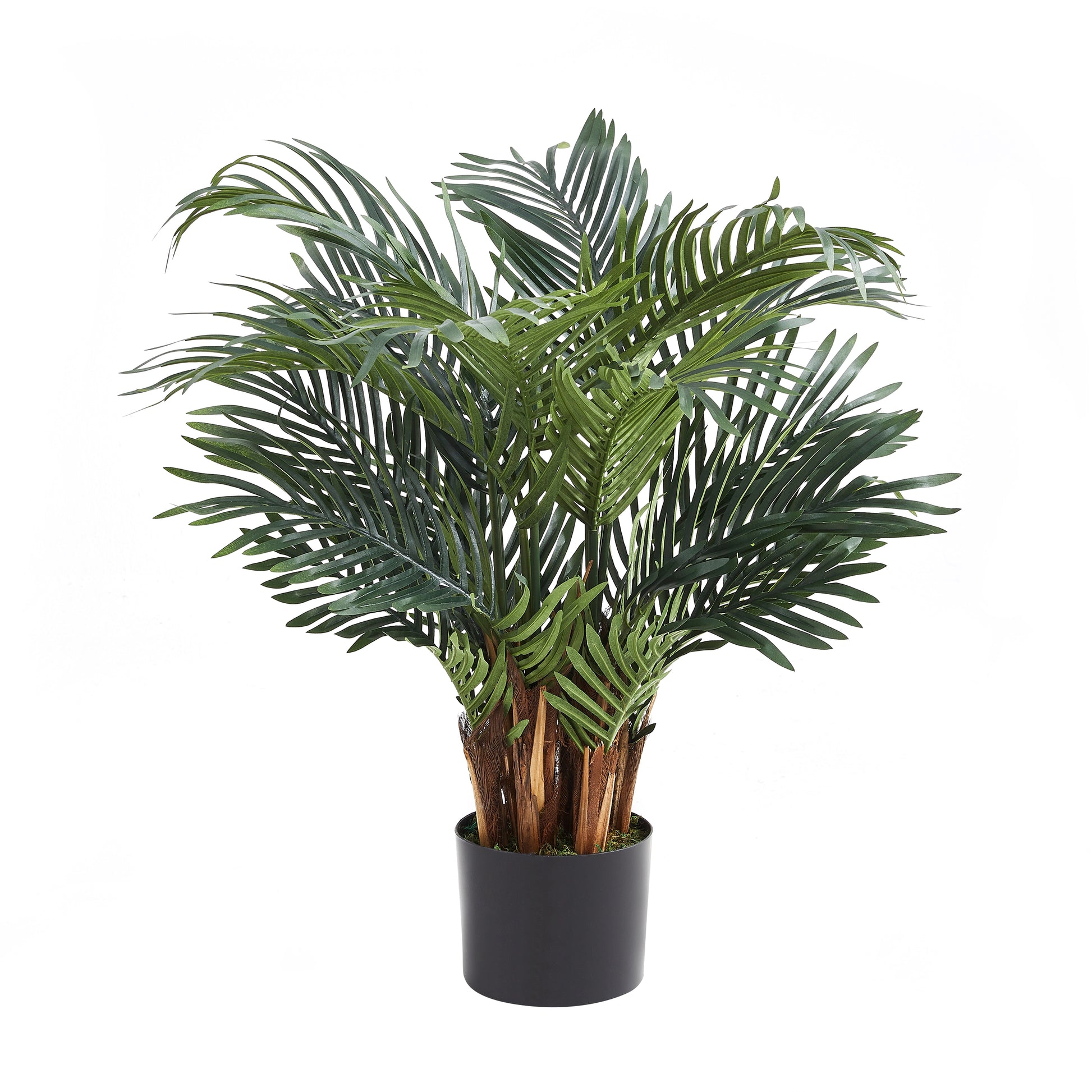 Künstlicher Palmfarn – Alamea | 75 cm