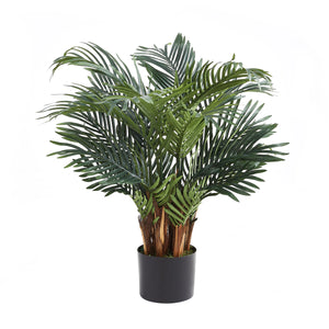 Künstlicher Palmfarn – Alamea | 75 cm