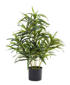 Künstliche Dracaena Reflexa – Orielle | 70 cm