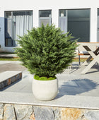 Künstliche Zypresse – Sylvano | 75 cm