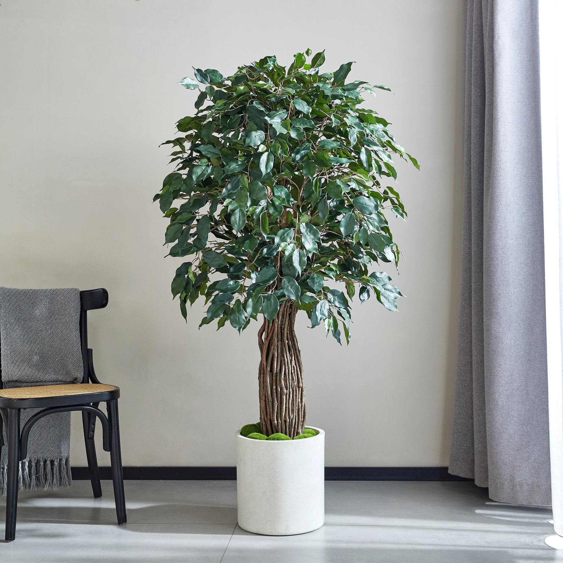 Künstlicher Ficus – Amadior | 150 cm