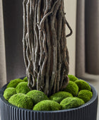 Künstlicher Ficus – Amadior | 210 cm