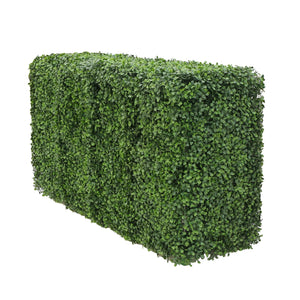 Künstliche Buchsbaumhecke - Jonas | 75x50 cm
