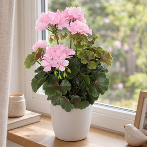 Künstliche Geranie - Perla | 40 cm rosa