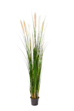 Künstliches Schilfgras - Fluffi | 180 cm