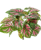 Künstliche Kaladie - Kallax | 34 cm